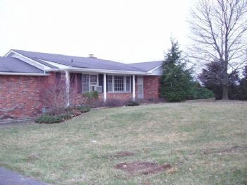 andy11420 profile photo