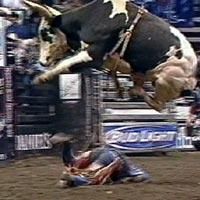 Bullrider profile photo