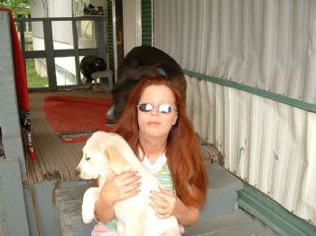 Bullrider profile photo