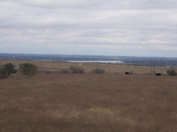 shawtown profile photo