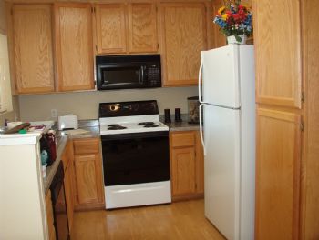 giffordm profile photo