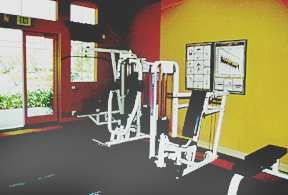 dauerswald profile photo