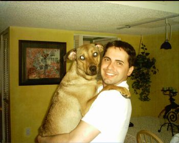 openwarrior profile photo