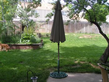 Laszlo profile photo