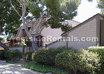 heartrose66 profile photo