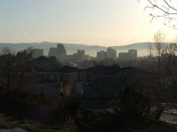 lilred profile photo