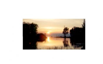 eastguy7 profile photo