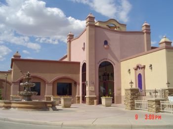 linettea profile photo