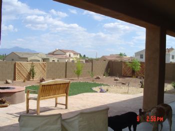 linettea profile photo