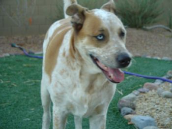 linettea profile photo