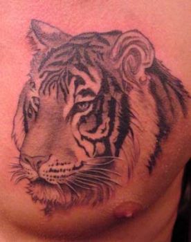 TotalChaos profile photo