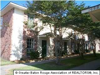 ykiki1313 profile photo