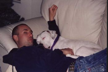 JSheldon profile photo