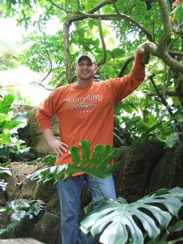 bluesguitar profile photo