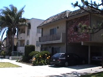 skyline95 profile photo