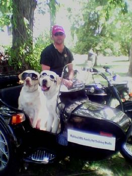 strausser7 profile photo