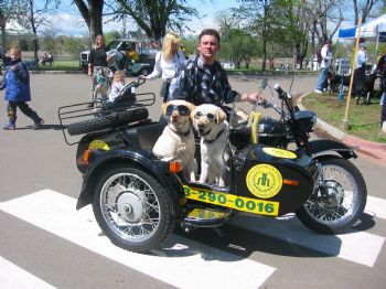 strausser7 profile photo