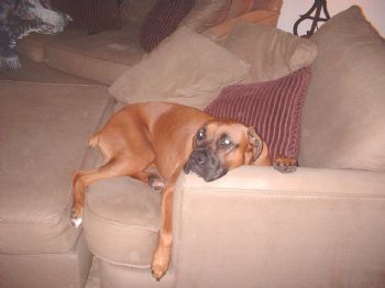 maryannetwed profile photo