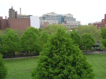 nhr400 profile photo