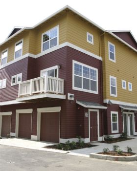 josey73 profile photo