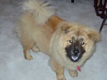 penkitt profile photo