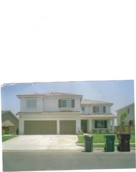 rmsready profile photo