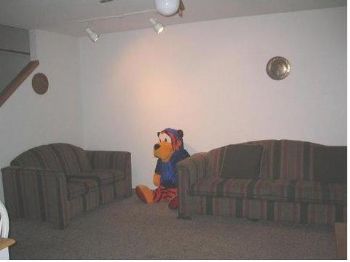 akanksha profile photo