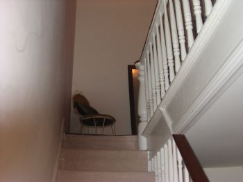 Bolson profile photo