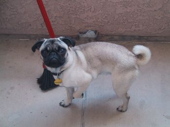 nikole22f profile photo