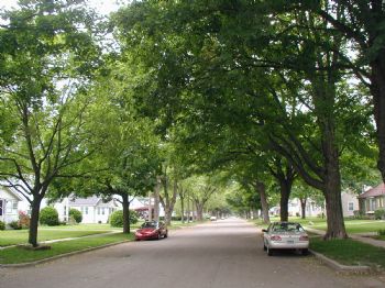 Ebolav profile photo