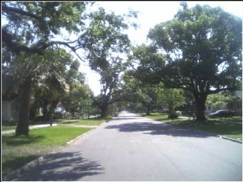 msestoy profile photo