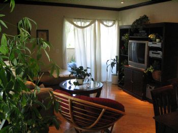 otonitoni profile photo