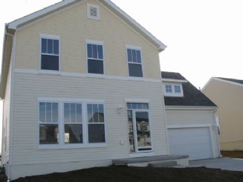 shanky profile photo