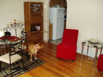 elapradd profile photo