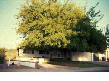 ksquared1 profile photo