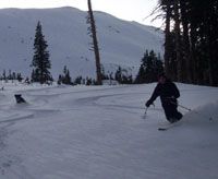 ftbrian profile photo