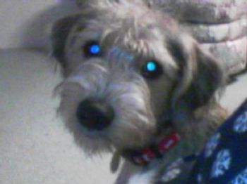 bride2010 profile photo