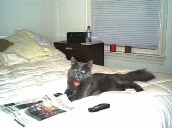 Heyward profile photo