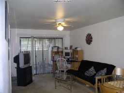 migonigerl profile photo