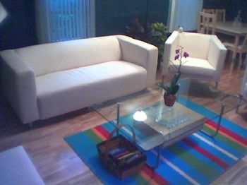 davidjoe profile photo