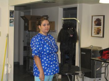 DonnaLeMert profile photo