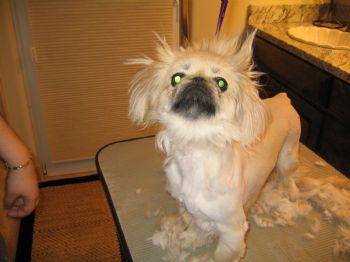 DonnaLeMert profile photo