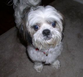 Tamyra profile photo
