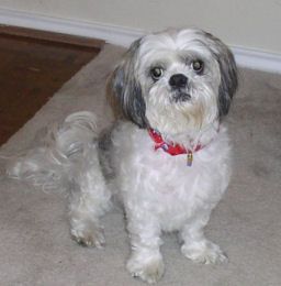 Tamyra profile photo