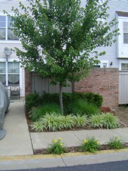 designerchic profile photo