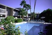 AmberMoore profile photo