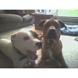 rainfaith profile photo