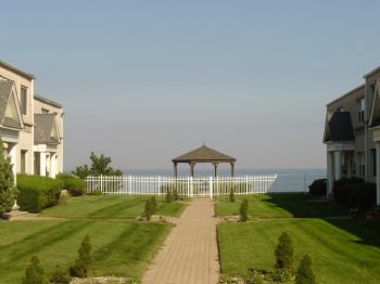 VINNY1982 profile photo