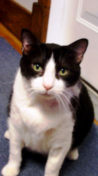 teremala profile photo