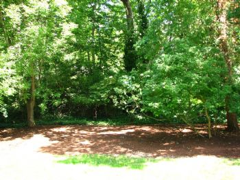 donaldhouse profile photo